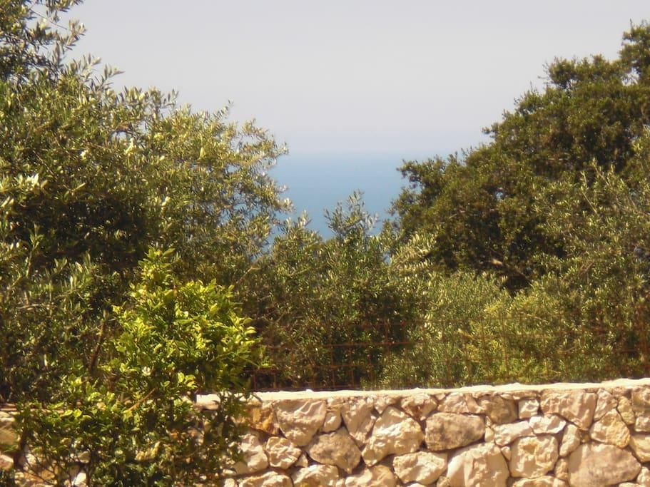 Vasilikiádhes Vegera Apartments מראה חיצוני תמונה